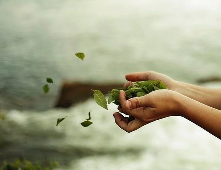 Nhà Giao Dịch